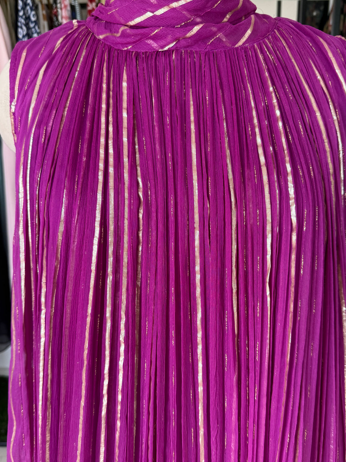 Riya Purple Golden Stripe Sleeveless Maxi Dress6